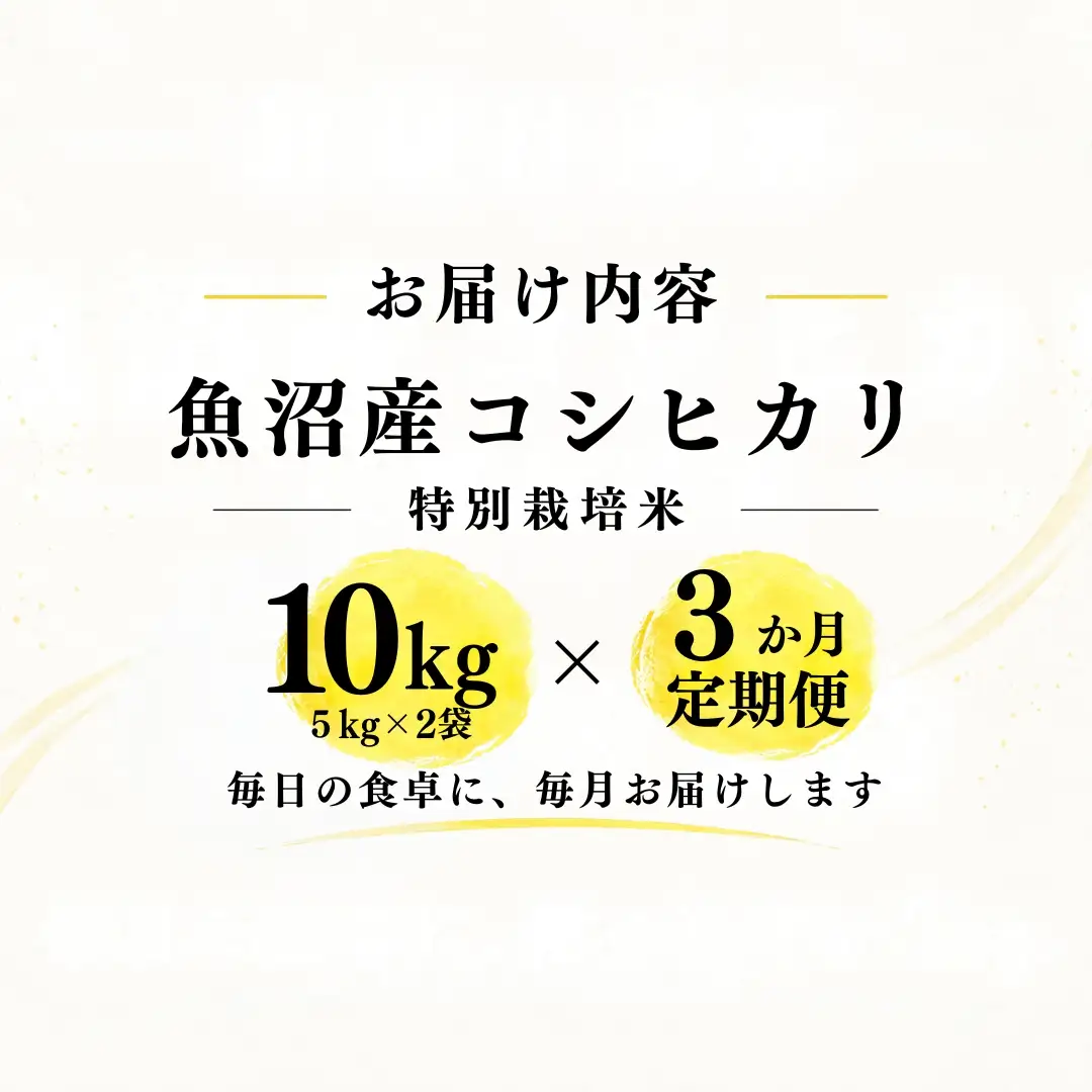 【3ヶ月定期便】【令和8年産 コシヒカリ】魚沼産コシヒカリ 特別栽培米 10kg(5kg×2袋) | 新潟県産コシヒカリ 魚沼産こしひかり 米 お米 こしひかり 白米 精米 ブランド米 津南町 米処やえざわ