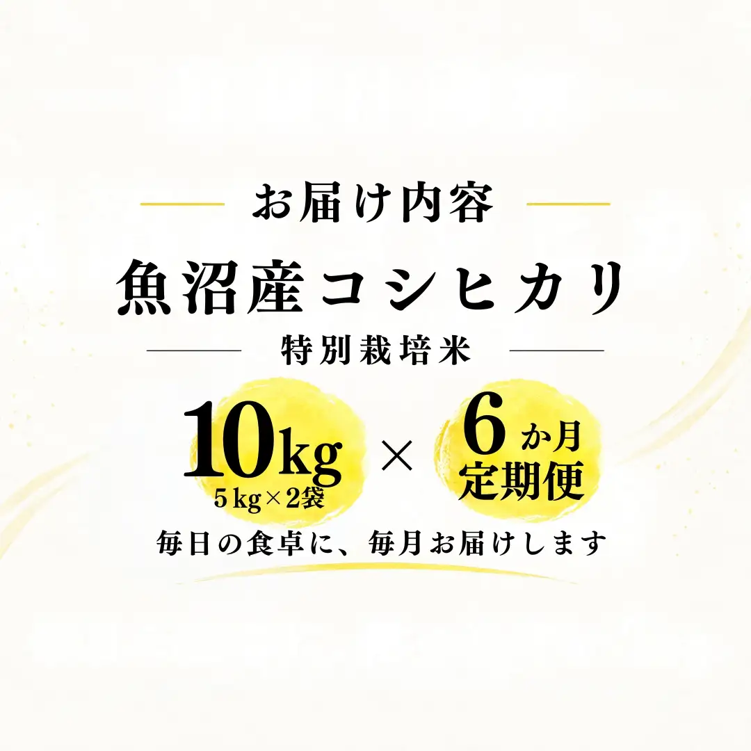 【6ヶ月定期便】【令和8年産 コシヒカリ】魚沼産コシヒカリ 特別栽培米 10kg(5kg×2袋) | 新潟県産コシヒカリ 魚沼産こしひかり 米 お米 こしひかり 白米 精米 ブランド米 津南町 米処やえざわ
