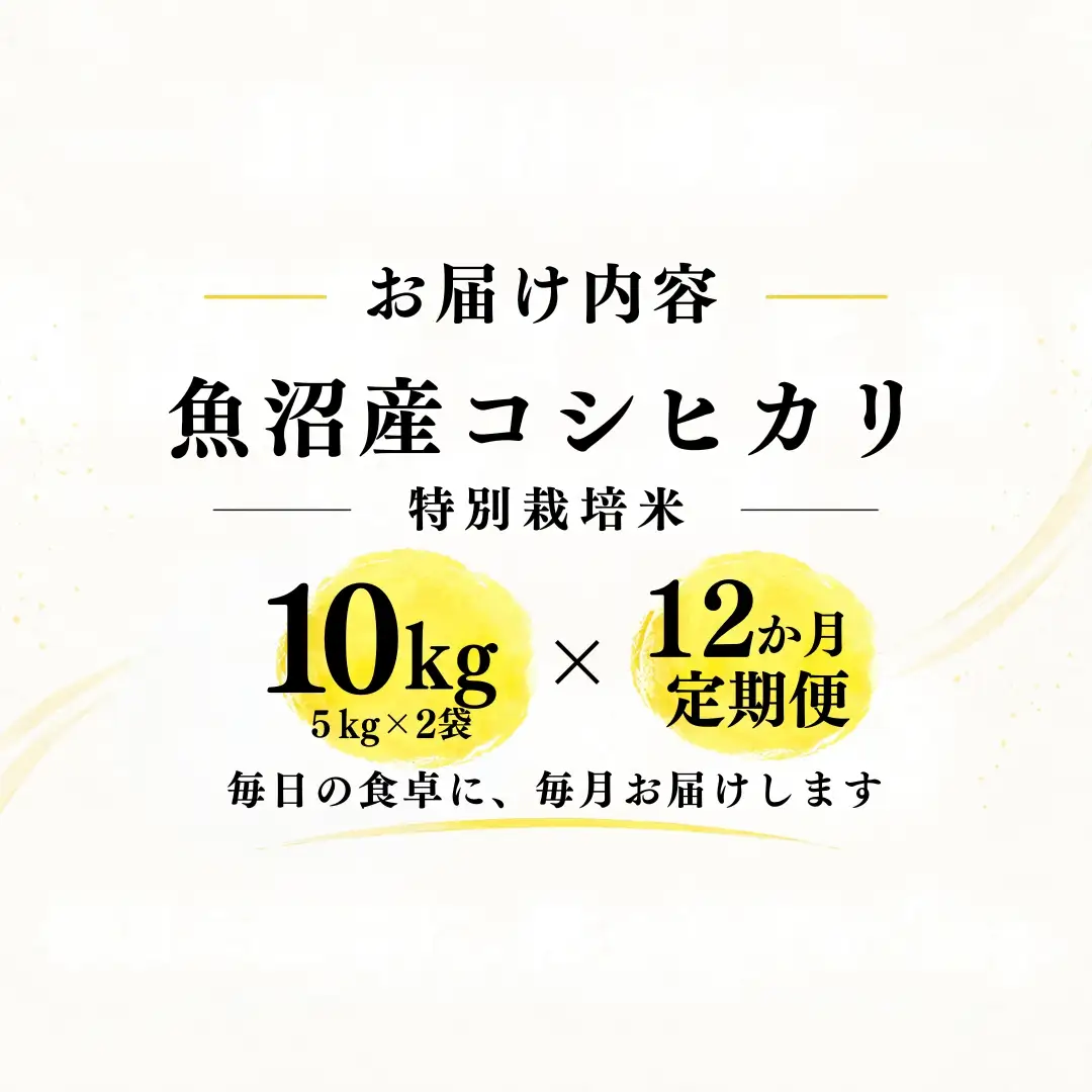 【12ヶ月定期便】【令和8年産 コシヒカリ】魚沼産コシヒカリ 特別栽培米 10kg(5kg×2袋) | 新潟県産コシヒカリ 魚沼産こしひかり 米 お米 こしひかり 白米 精米 ブランド米 津南町 米処やえざわ