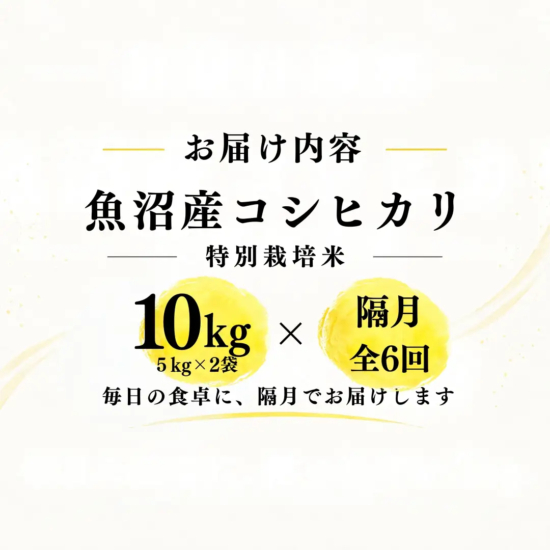 【隔月全6回 定期便】【令和8年産 コシヒカリ】魚沼産コシヒカリ 特別栽培米 10kg(5kg×2袋) | 新潟県産コシヒカリ 魚沼産こしひかり 米 お米 こしひかり 白米 精米 ブランド米 津南町 米処やえざわ