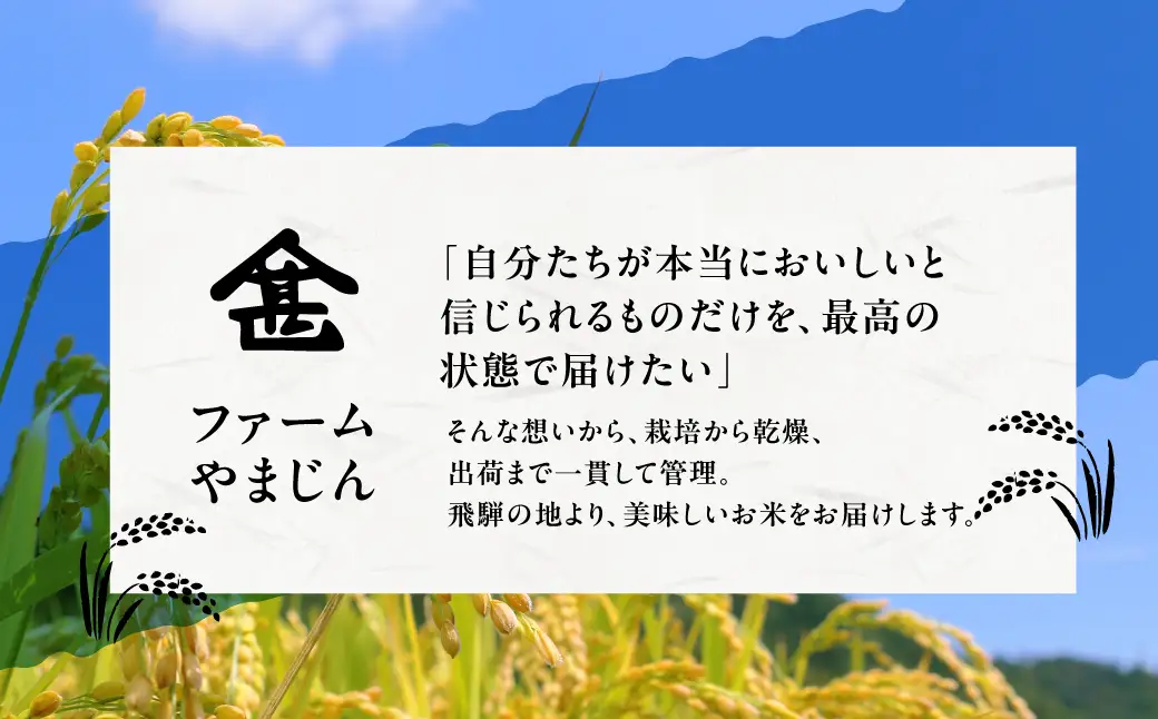 【令和8年度産】位山源流米 コシヒカリ10kg | 新米 米 ごはん 農家 コシヒカリ おいしい 飛騨高山 ファームやまじん TD002