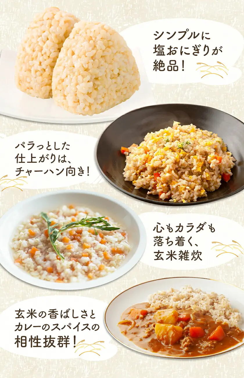 令和8年産 玄米 おとみや日和 阿蘇の名水と野草堆肥のめぐみ 30kg 春香ファーム