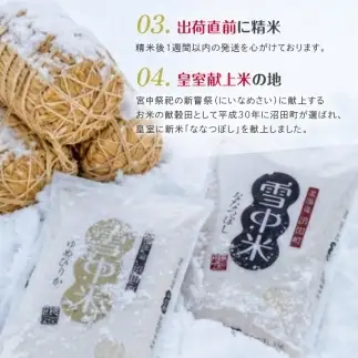 令和8年産【定期便4ヶ月】ななつぼし 精米 20kg（5kg×4袋） 【1月発送】開始 雪冷気 籾貯蔵 雪中米 北海道 nr-3142