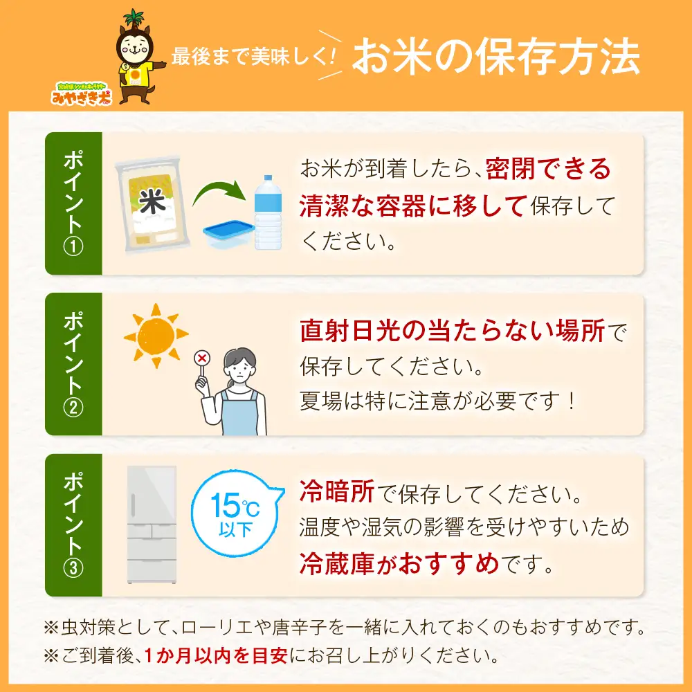 令和8年産 無洗米 こしひかり 2kg 宮崎県産 米 コメ 精米 BG無洗米 HACCP コシヒカリ