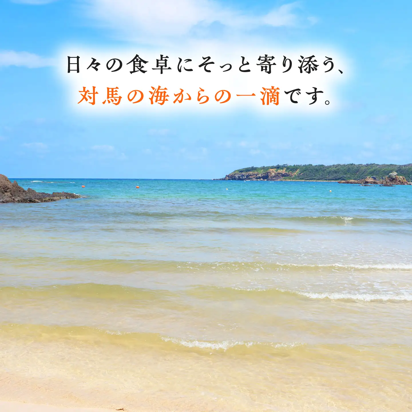 浜御塩の海水にがり 170ml×1本 《対馬市》【株式会社白松】 にがり マグネシウム 対馬 調味料[WAY007]