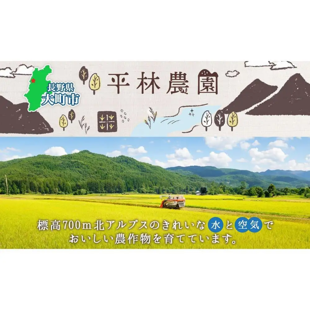 【2026年10月発送】令和8年産 コシヒカリ 風さやか 白米 各5kg 長野県産 米 精米 お米 ごはん ライス 甘み 農家直送 産直 信州 人気 ギフト お取り寄せ 平林農園 送料無料 長野県 大町市