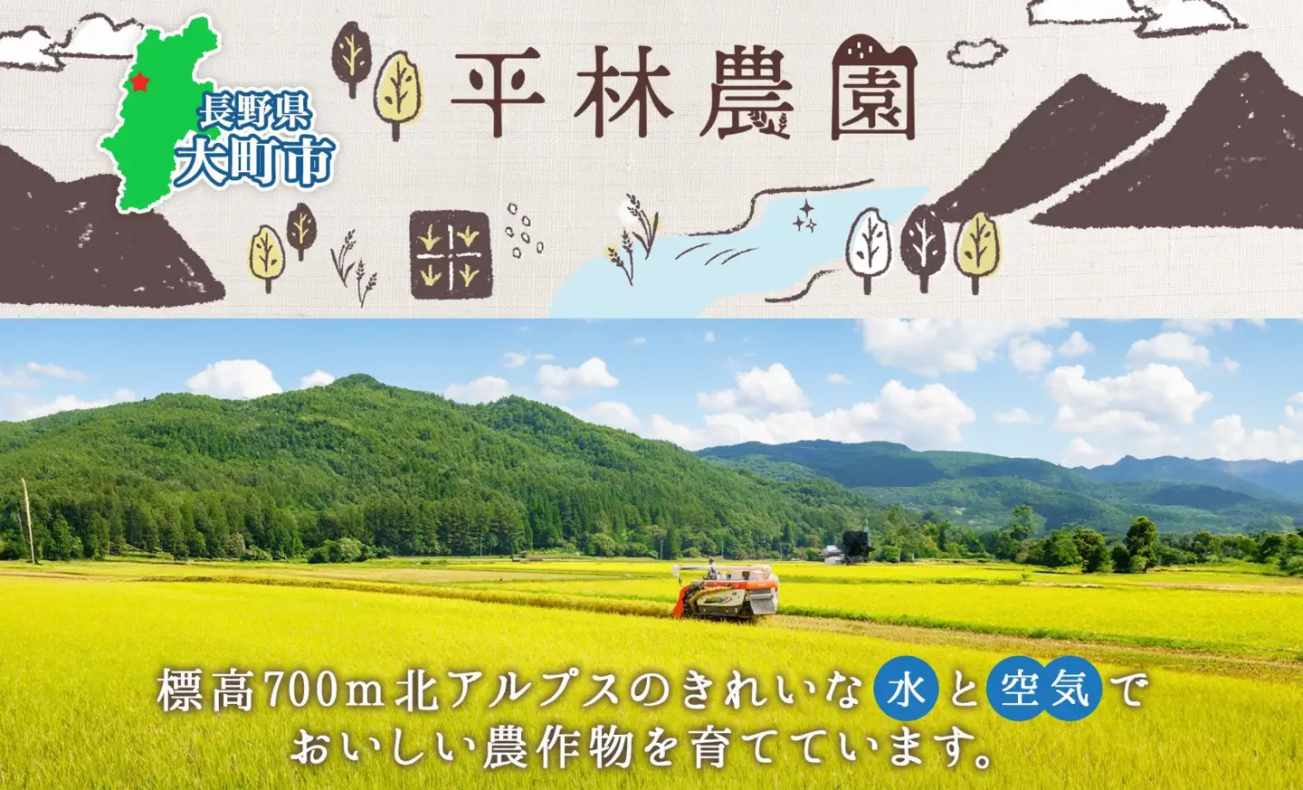 【2026年10月発送】令和8年産 つきあかり 玄米 10kg×1袋 長野県産 米 精米 お米 ごはん ライス 甘み 農家直送 産直 信州 人気 ギフト お取り寄せ 平林農園 送料無料 長野県 大町市