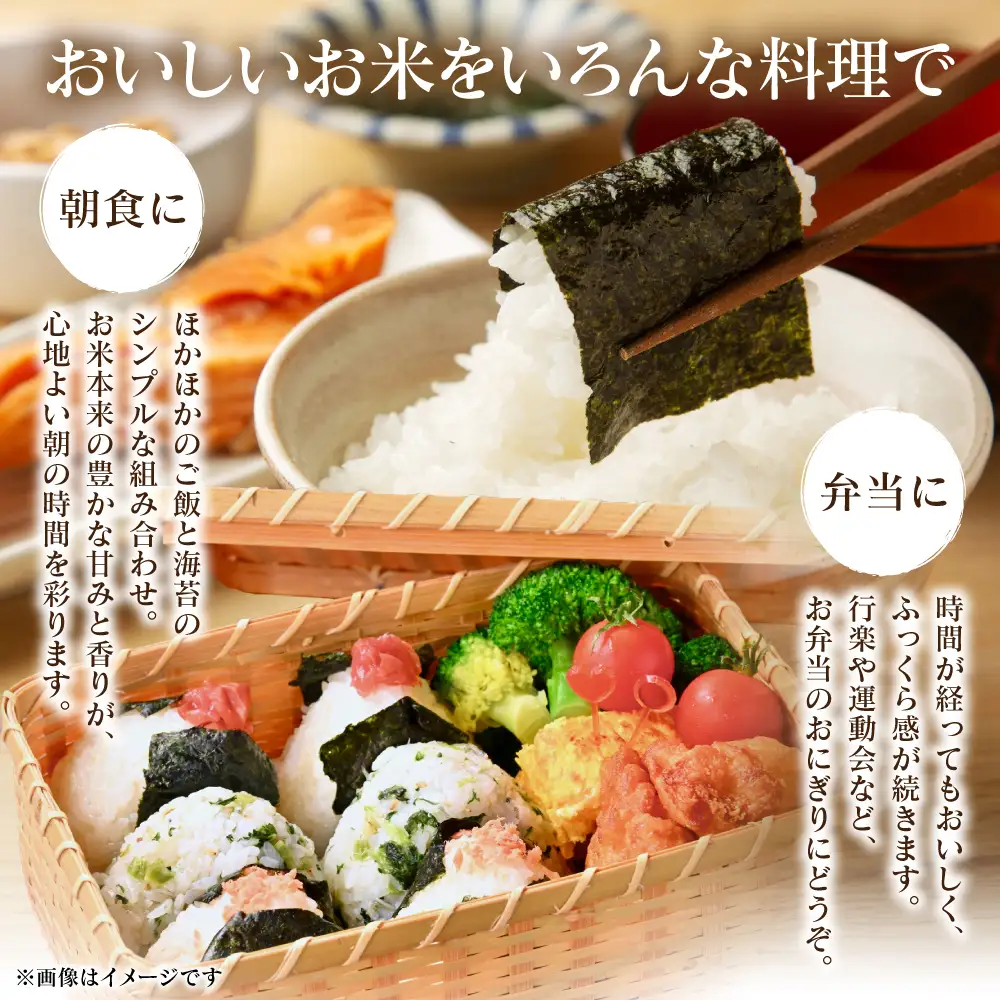 精米 《令和7年産》 森のくまさん 5kg×1袋  精米