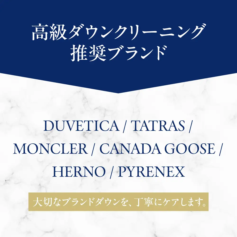 【最大1年間保管付！】高級ダウンクリーニング(4点)