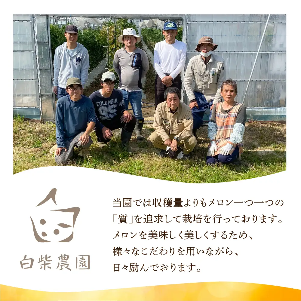 ≪先行予約 2027年発送≫ 温室マスクメロン 3～4玉 【訳あり】めろん メロン マスクメロン 訳あり わけあり 果物 フルーツ デザート 旬 旬の果物 高糖度 糖度 フルーツ先行予約 愛知県 豊橋市