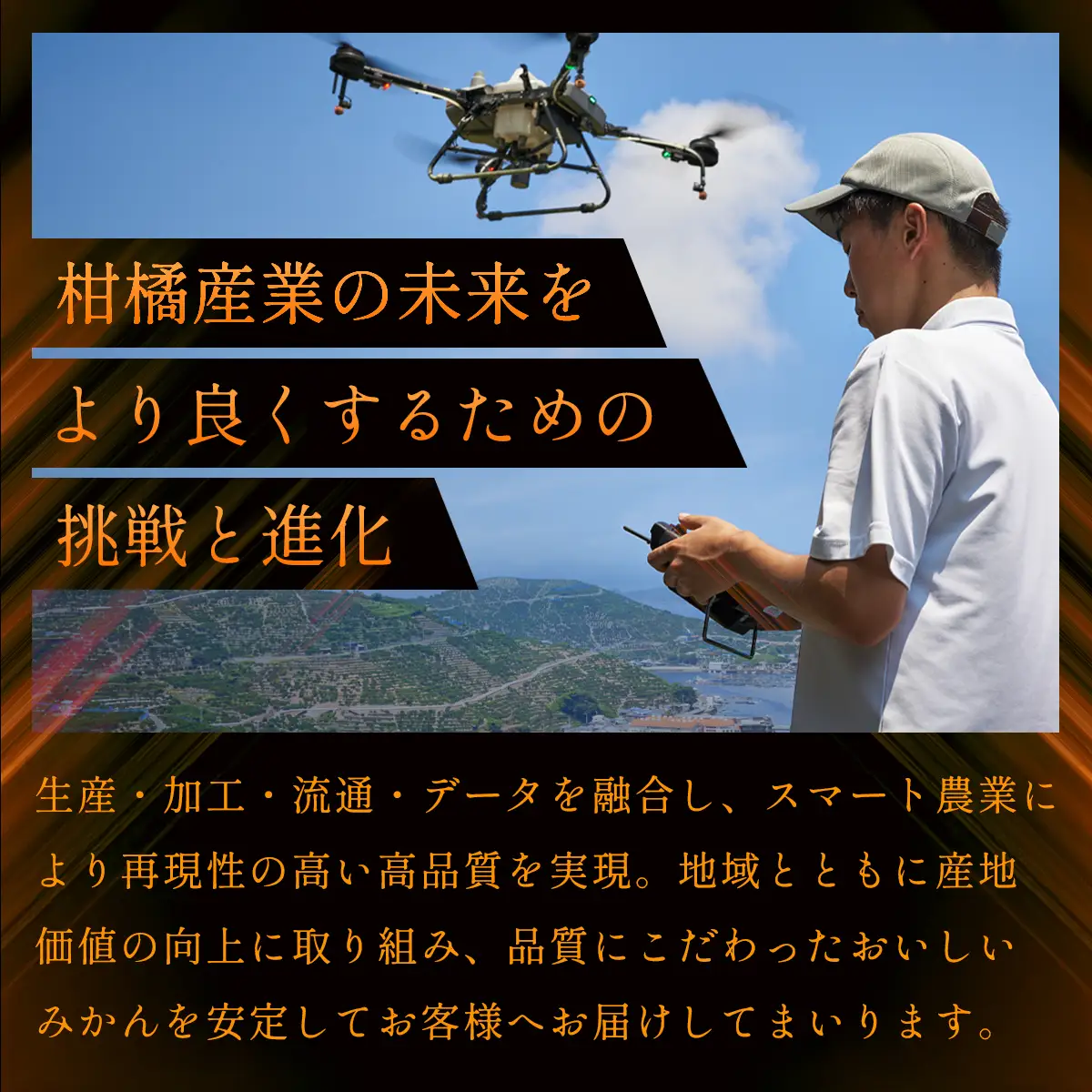 先行予約＜訳あり 愛媛みかん 合計約2.5kg＞ 『2026年11月以降順次出荷予定』温州 みかん フレッシュ ご家庭用 ご自宅 蜜柑 愛媛県産 キロ 果肉 お試し 果物 柑橘 フルーツ オレンジ 国産 濃厚 産地直送 ミヤモトオレンジガーデン 愛媛県 西予市【常温】ONM0033
