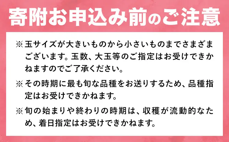 【2027年発送】 岡山の桃 約 500g 白桃 桃