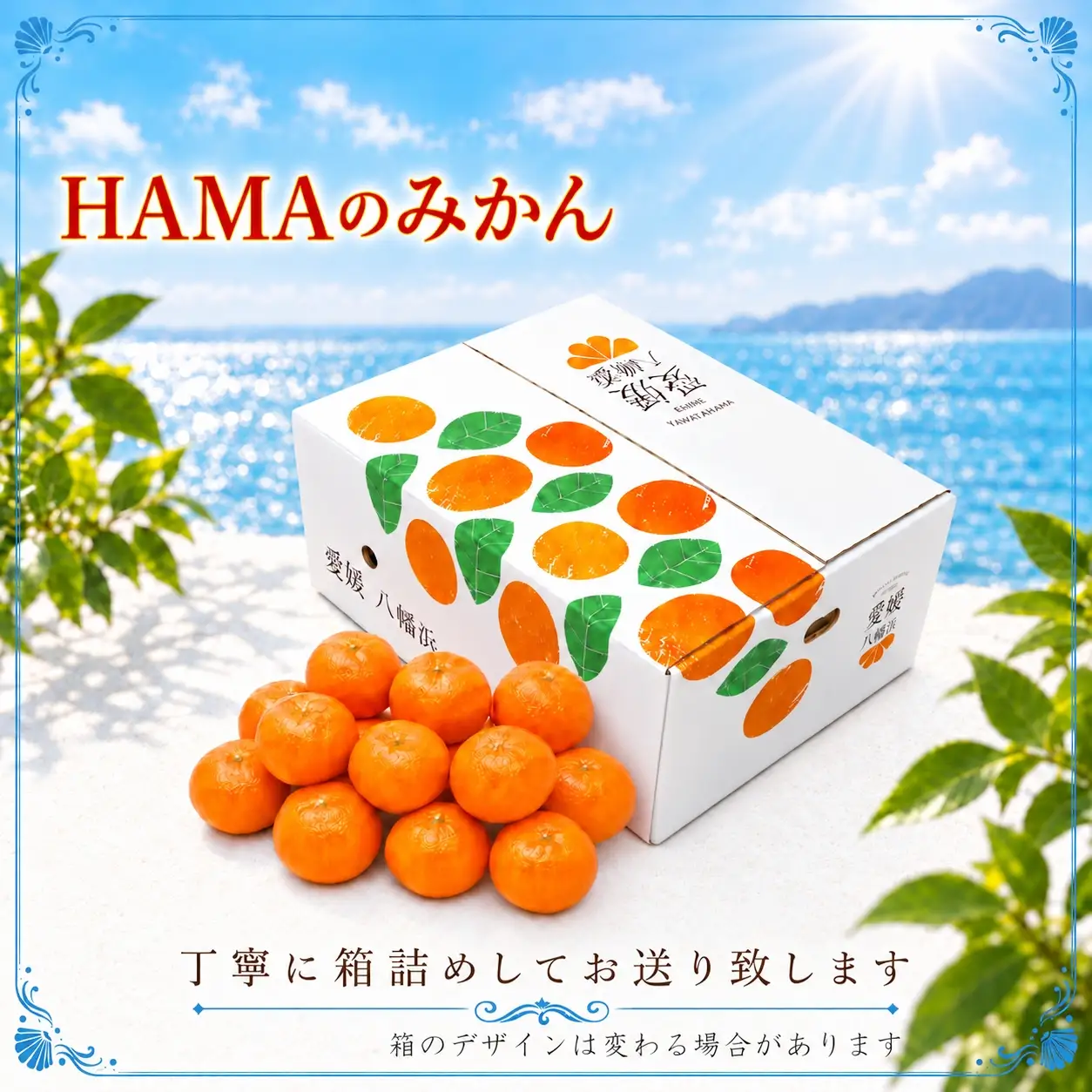 【先行受付】ミネラルを運ぶ潮風に吹かれ甘く育ったみかんを厳選　完熟「HAMAのみかん」　正味約３ｋｇ【39-94】YWTF069