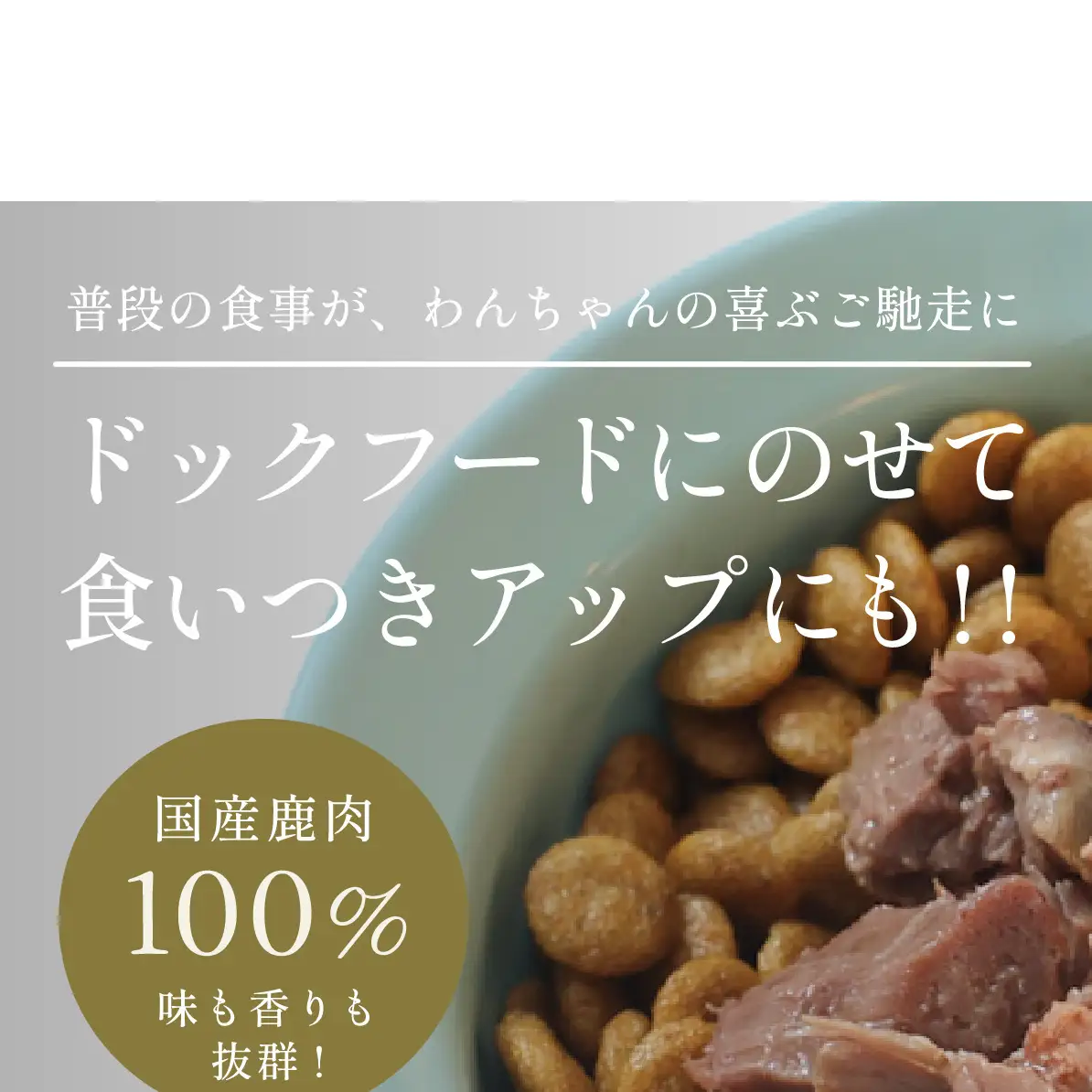 ペット用 玄米と野菜の鹿肉リゾット (100g×3)  あいむふぁっと Deli Deer デリディアー ふるさと納税 高たんぱく 低脂肪 低カロリー 鹿肉 犬 無添加 国産 奈良県 宇陀市