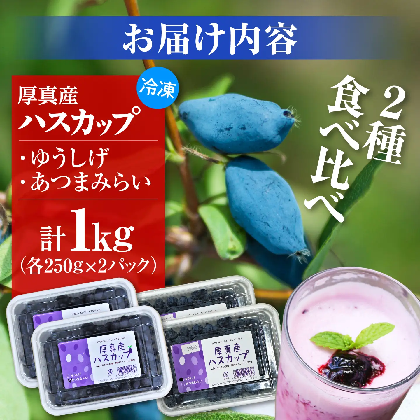 冷凍 ハスカップ 計1kg [AXAB086] ハスカップ