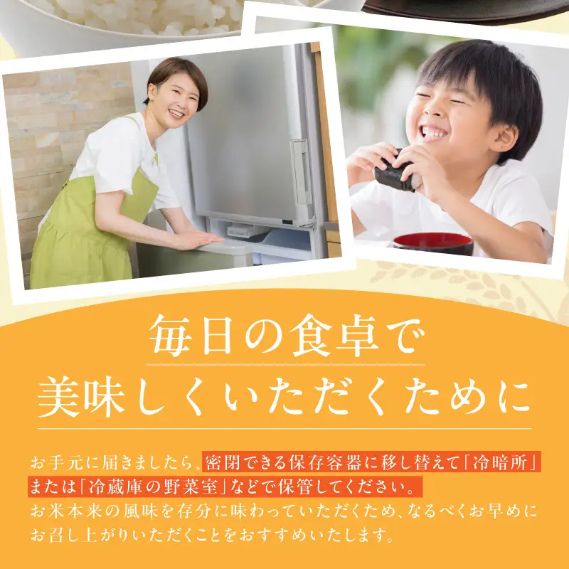 令和8年産 泉佐野産 にじのきらめき 5kg
