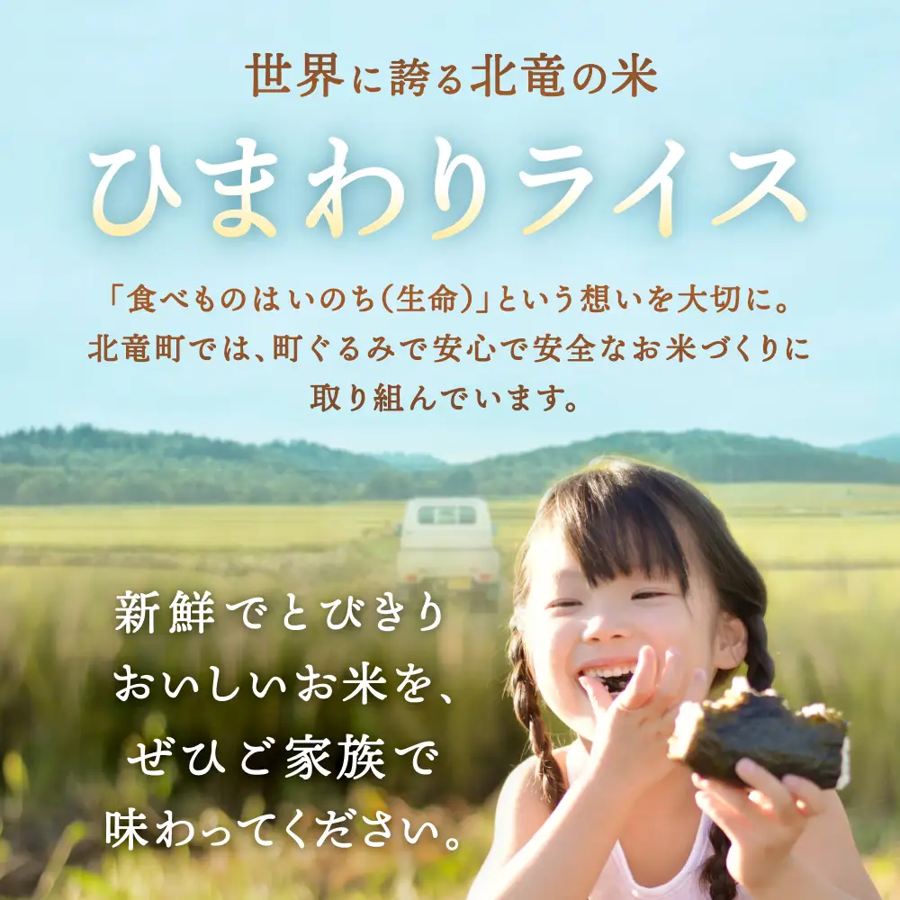 令和8年産 食べ比べ 少量 セット 1.2kg (300g×4種) / ゆめぴりか ななつぼし おぼろづき きたくりん【sun400-set-all-r0d9-R8】