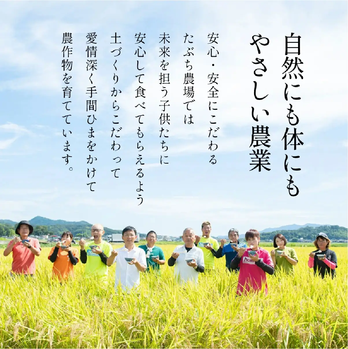 定期便 新米  丹波篠山産 特別栽培米コシヒカリ 精米 10kg×12回 定期便