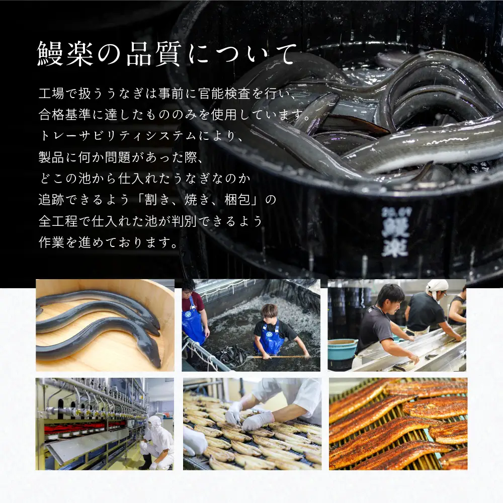 鰻 うなぎ蒲焼4尾セット（190g×4尾）合計760g たれ・山椒付き 鰻