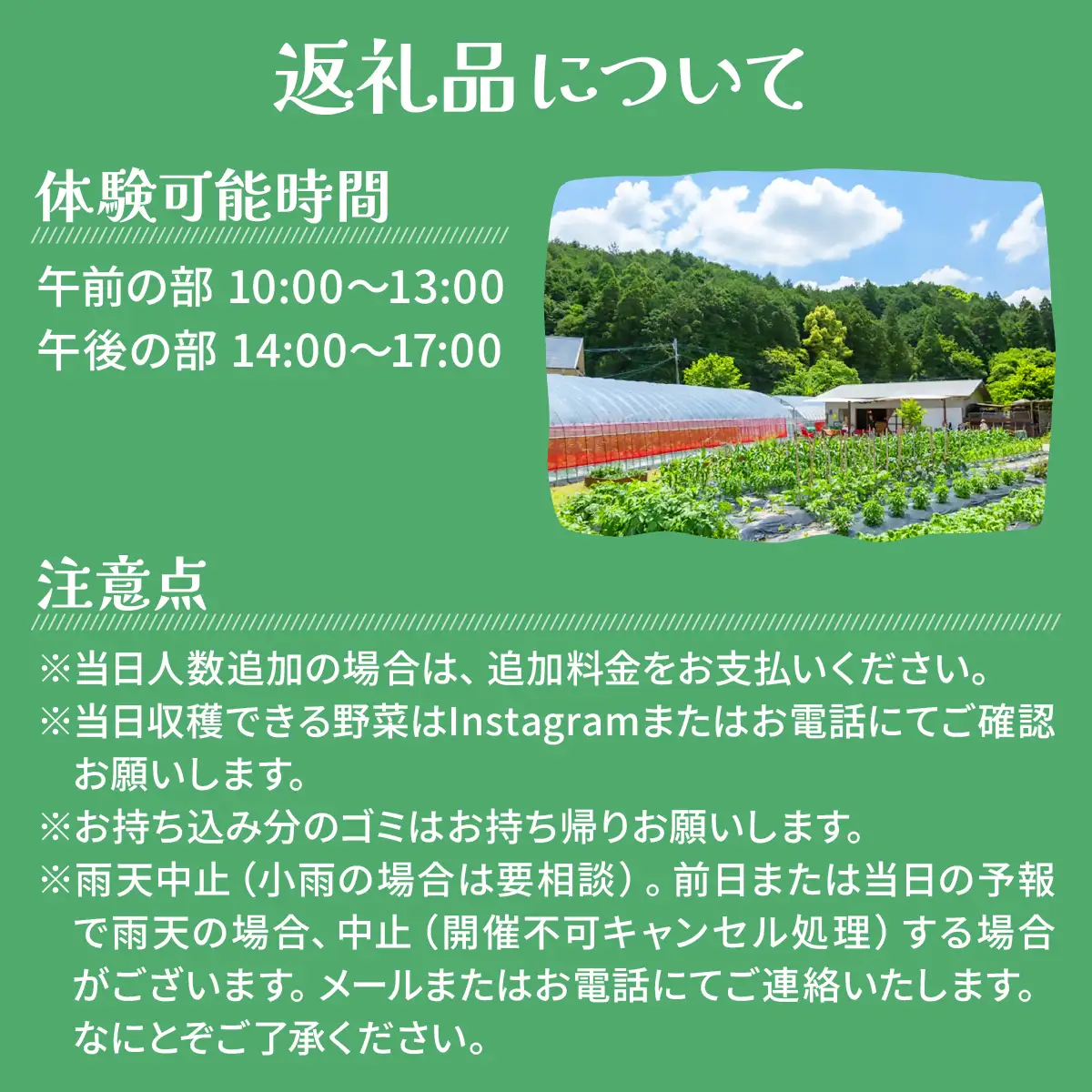 【収穫野菜でピザ作り】ダッチオーブンでキャンプ体験（1組7名）