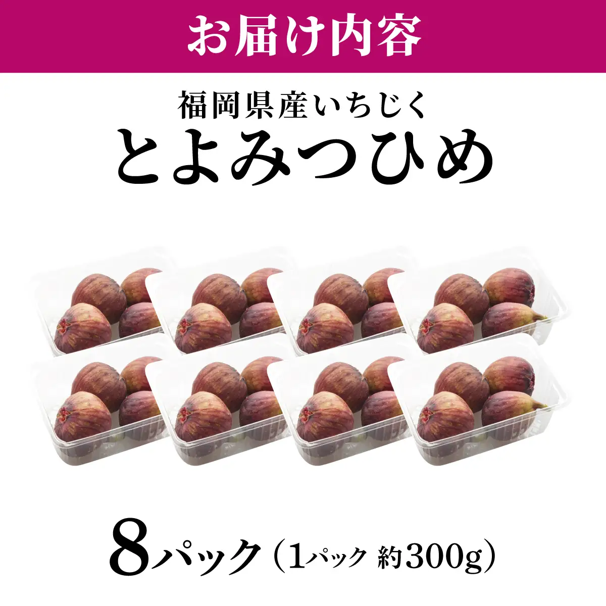 福岡県産 いちじく とよみつひめ 約2.4kg（300ｇ×8パック）