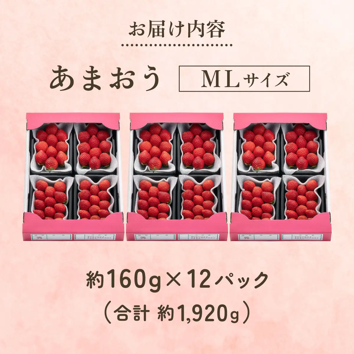 【2026年12月～2月発送】うるう農園のあまおう(MLサイズ)約160g×12P(1920g)