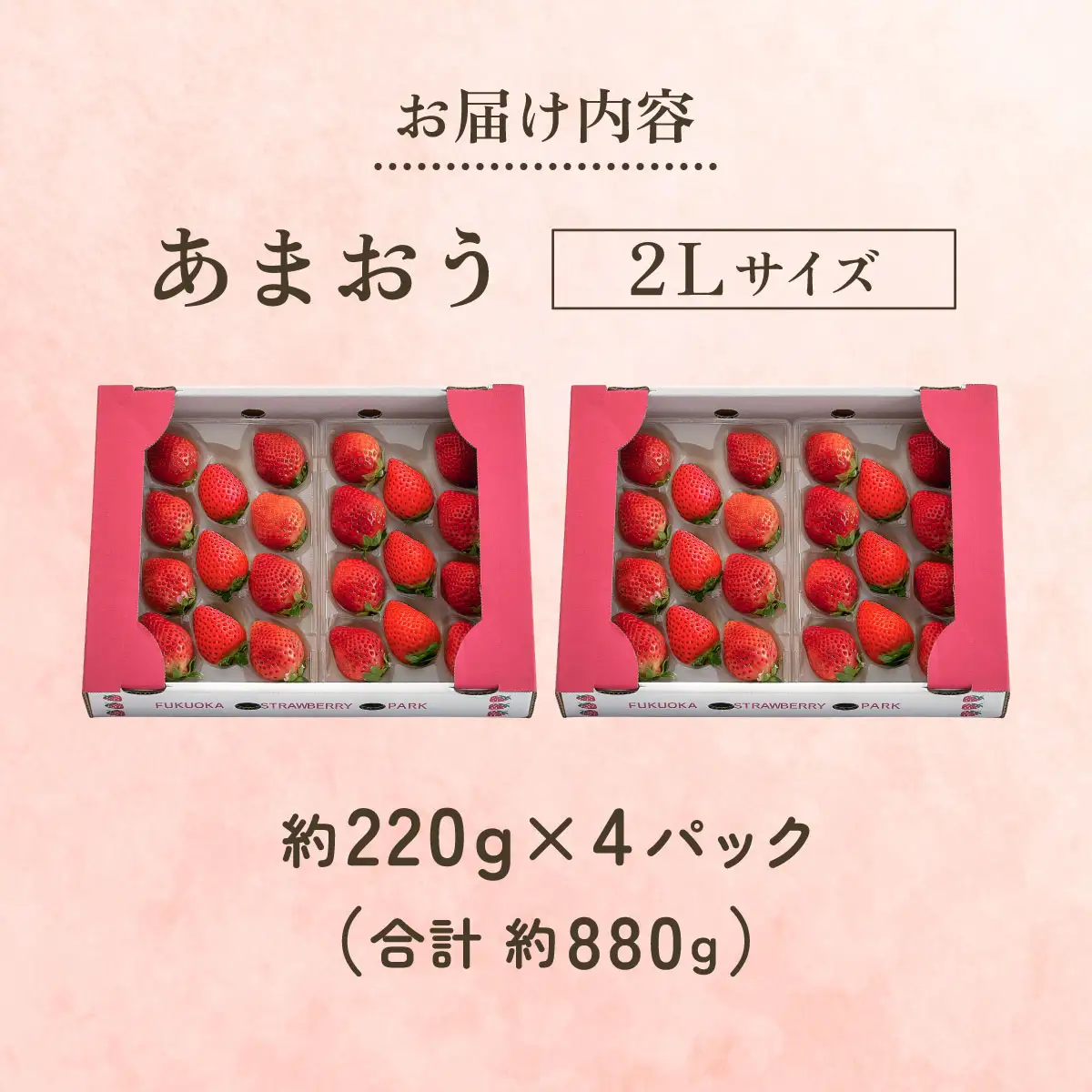 【2027年3月～4月発送】うるう農園のあまおう(2Lサイズ)約220g×4P(約880g)