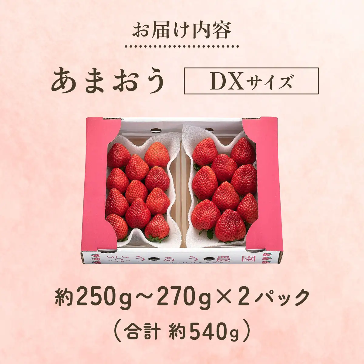 【2026年12月～2027年2月発送】うるう農園のあまおうDX 約250g～270g×2P(約540g)