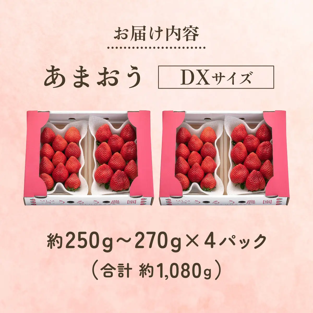 【2027年3月～4月発送】うるう農園のあまおうDX 約250g～270g×4P(約1080g)