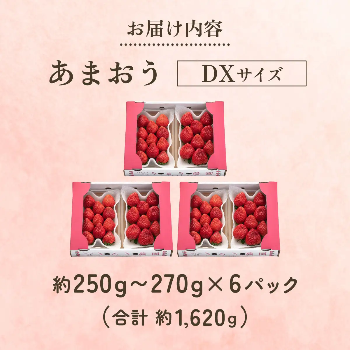 【2027年3月～4月発送】うるう農園のあまおうDX 約250g～270g×6P(約1620g)