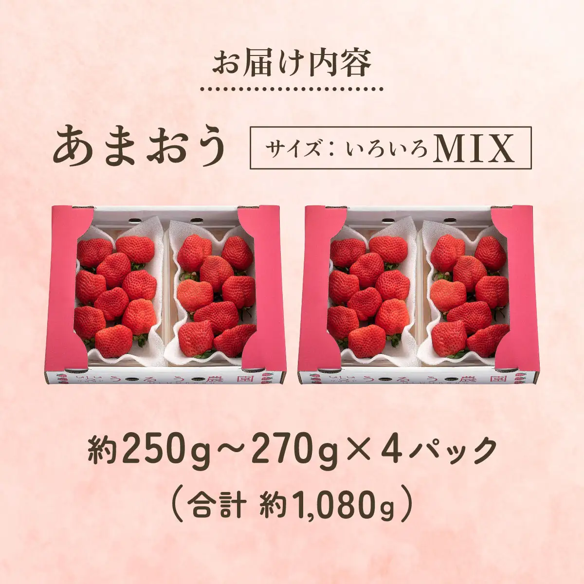 【2026年12月～2027年2月発送】あまおうサイズいろいろMIX約250~270g×4P(約1080g)
