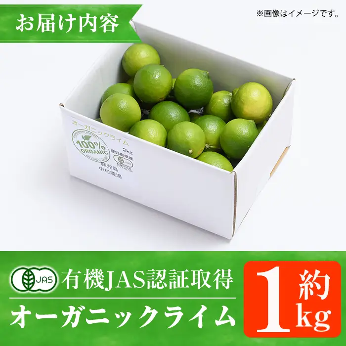 数量限定！有機JAS オーガニックライム(約1kg) 国産 果実 果物 フルーツ 柑橘 デザート 期間限定 有機栽培 健康志向 【中村農場】akn084-12