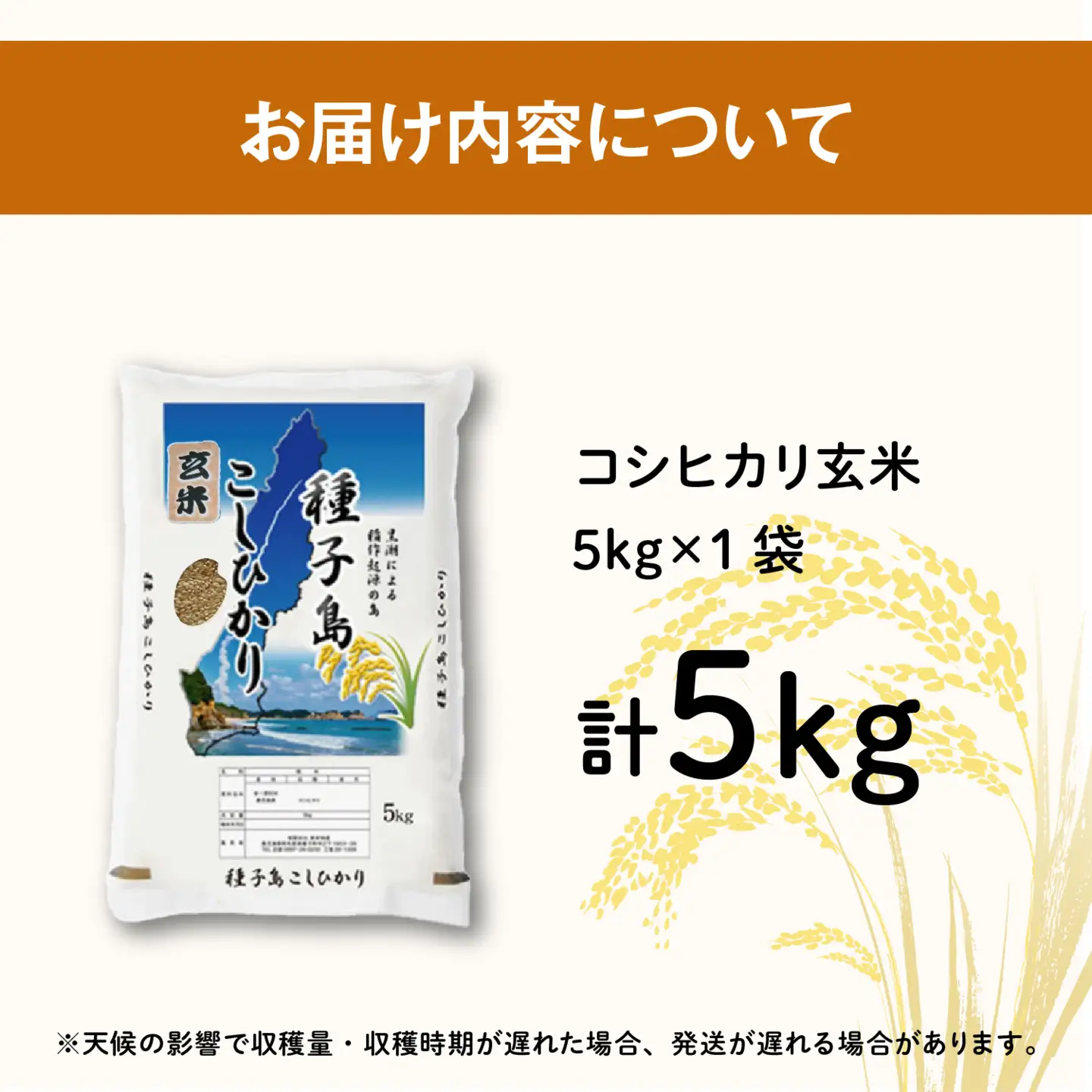《令和8年産米 新米》 種子島産 玄米 コシヒカリ5kg 【新栄物産】