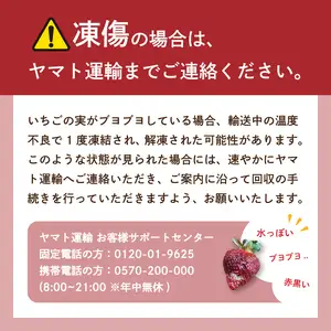 【2027年1月発送】訳あり 福岡県産 あまおう 約250g～約270g×8P いちご 苺 イチゴ 期間限定 ULU