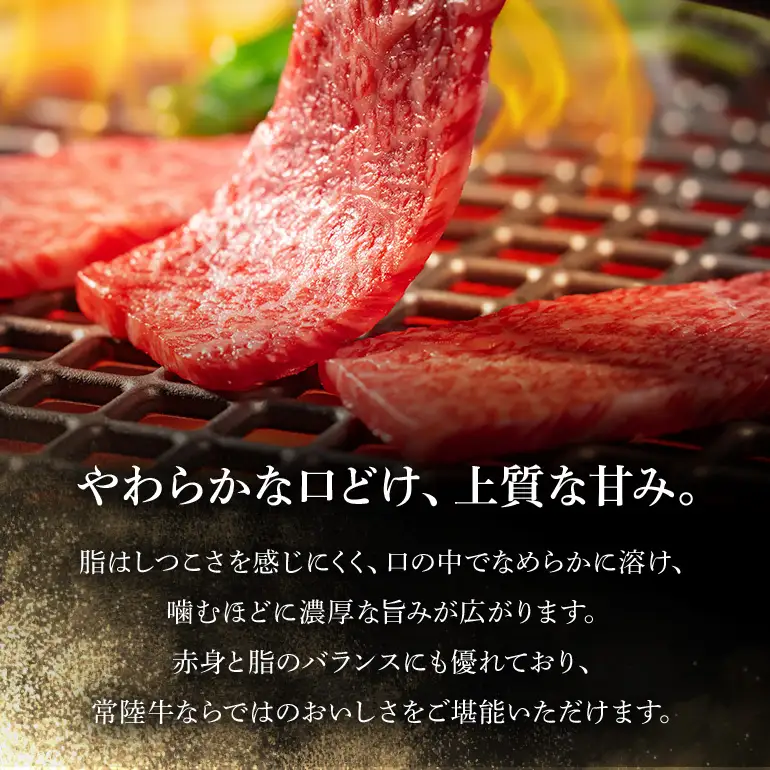 【和牛セレブ】常陸牛 定期便「ビジネスクラス」 KM-047