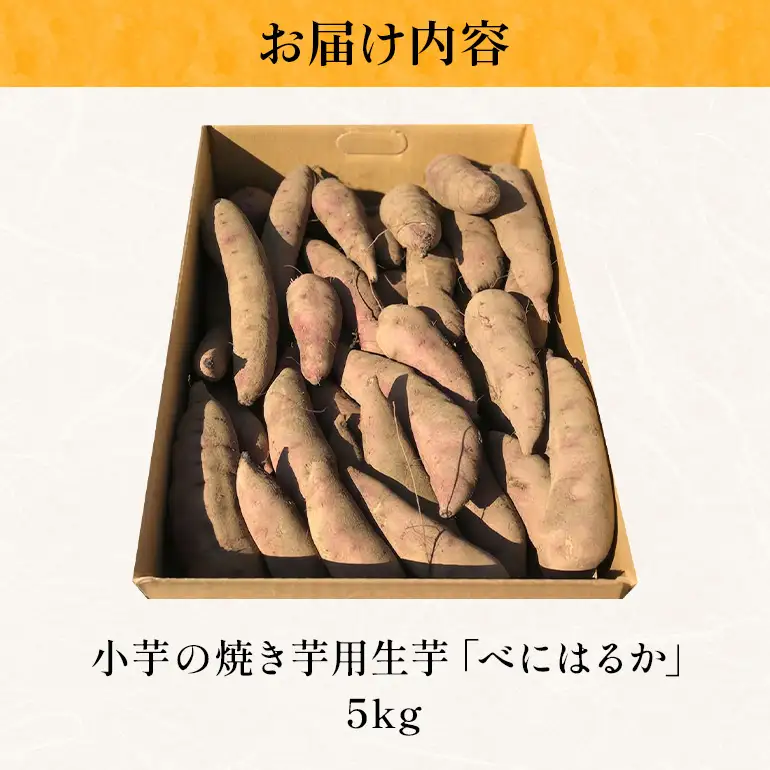 茨城県産小芋の焼き芋用生芋「べにはるか」5kg A26-012