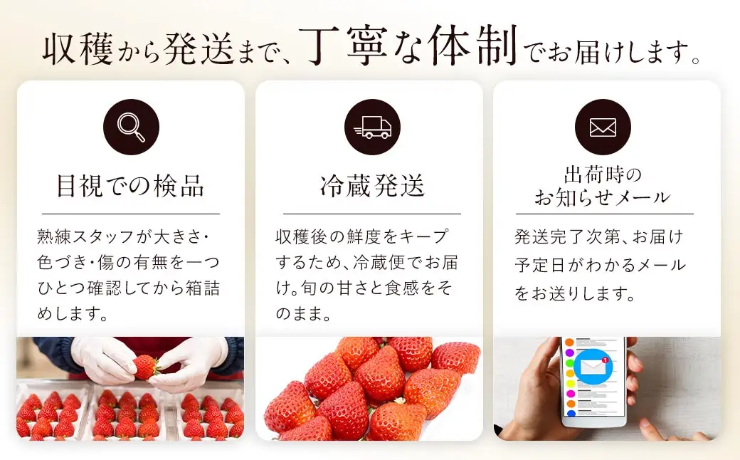 あまおう （ グランデ等級以上 ） 約250g × 6P 計約1,500 ～ 1,620g いちご イチゴ 苺 果物 くだもの フルーツ 果実 果肉 いちごの王様 国産 福岡県産 冷蔵 【 2027年2月上旬～4月下旬発送予定 】