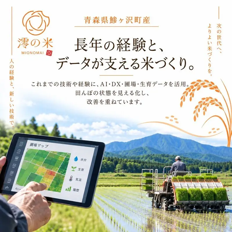 《 6ヶ月定期便 》 令和8年産 まっしぐら 無洗米 5kg （5㎏×1） 青森県産 イワモトファーム まっしぐら