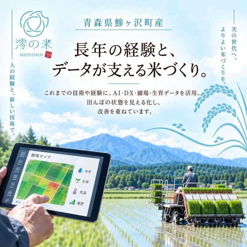 《 6ヶ月定期便 》令和8年産 はれわたり 無洗米 5㎏ （5㎏×1） 青森県産 イワモトファーム はれわたり