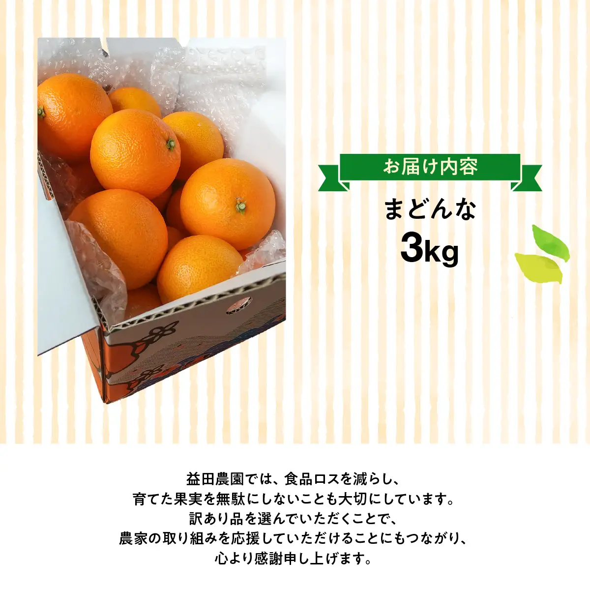 【先行受付】ゼリーのような食感で大人気の「西宇和マドンナ」（紅マドンナと同品種）３ｋｇ【103-6】　YWTBZ002