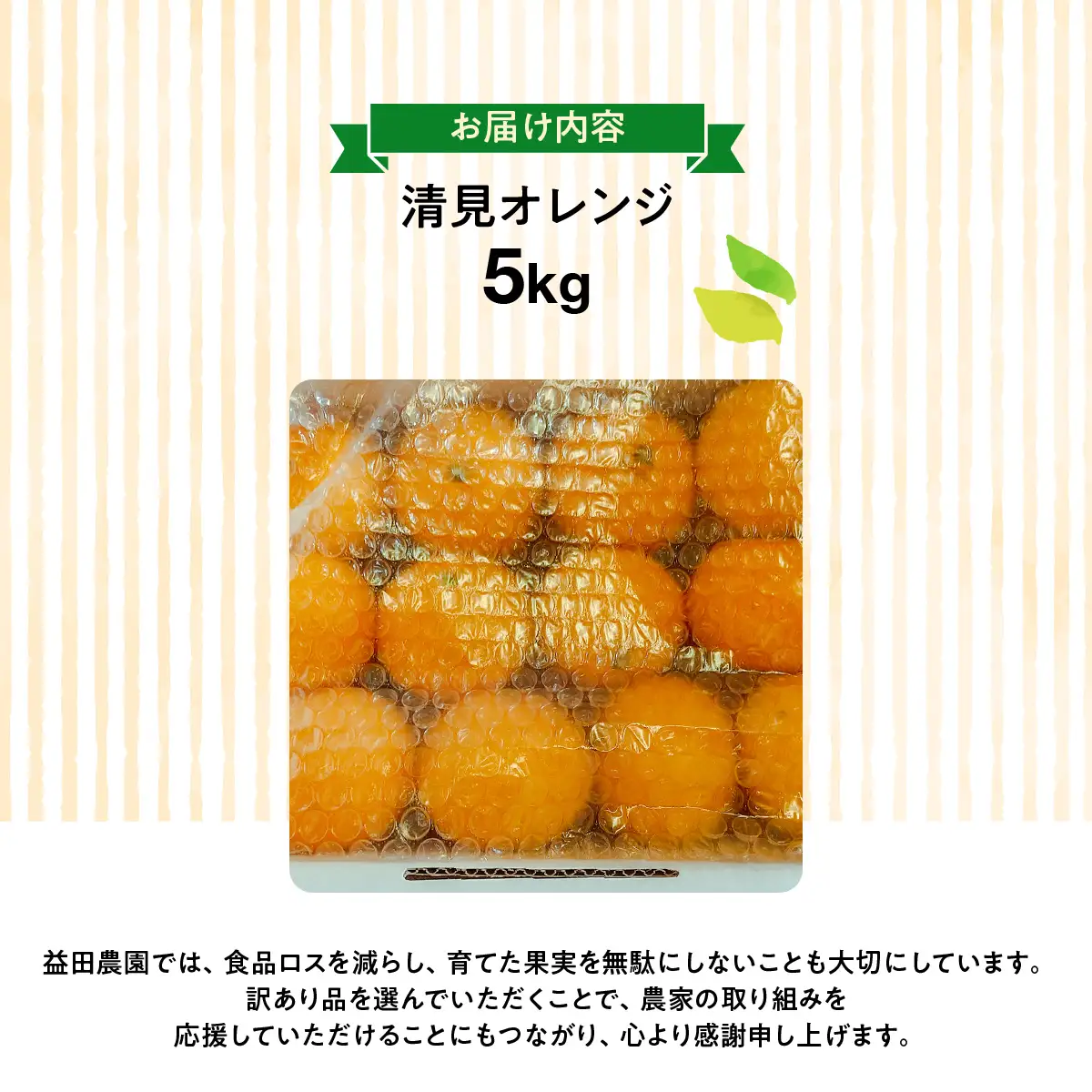 【先行受付】◆愛媛みかん西宇和益田農園より直送～　「清見オレンジ」爽やかな甘さが魅力！！　５kｇ【103-4】　YWTBZ007