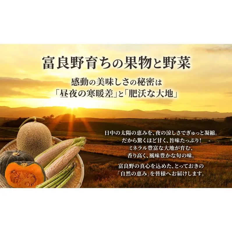 【先行予約】富良野メロン 赤肉 大玉 2玉（計4.4kg以上）北海道 ふらのメロン フルーツ 果物 2027年発送
