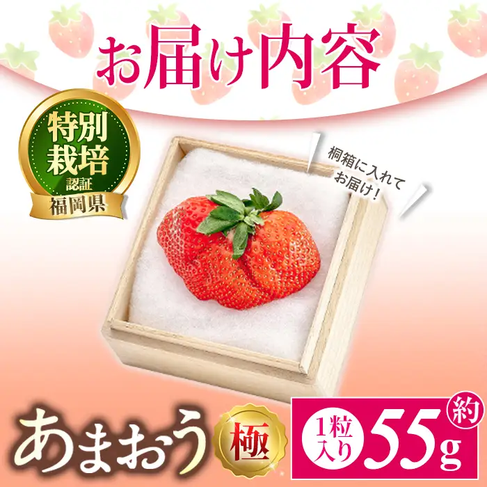 ＜予約受付中！2026年11月より順次発送予定＞あまおう「極」 (1個・約55g) 苺 いちご イチゴ 国産 福岡県 果物 フルーツ 冷蔵 特別栽培 贈答 ＜離島配送不可＞【ksg1977】【うるう農園】