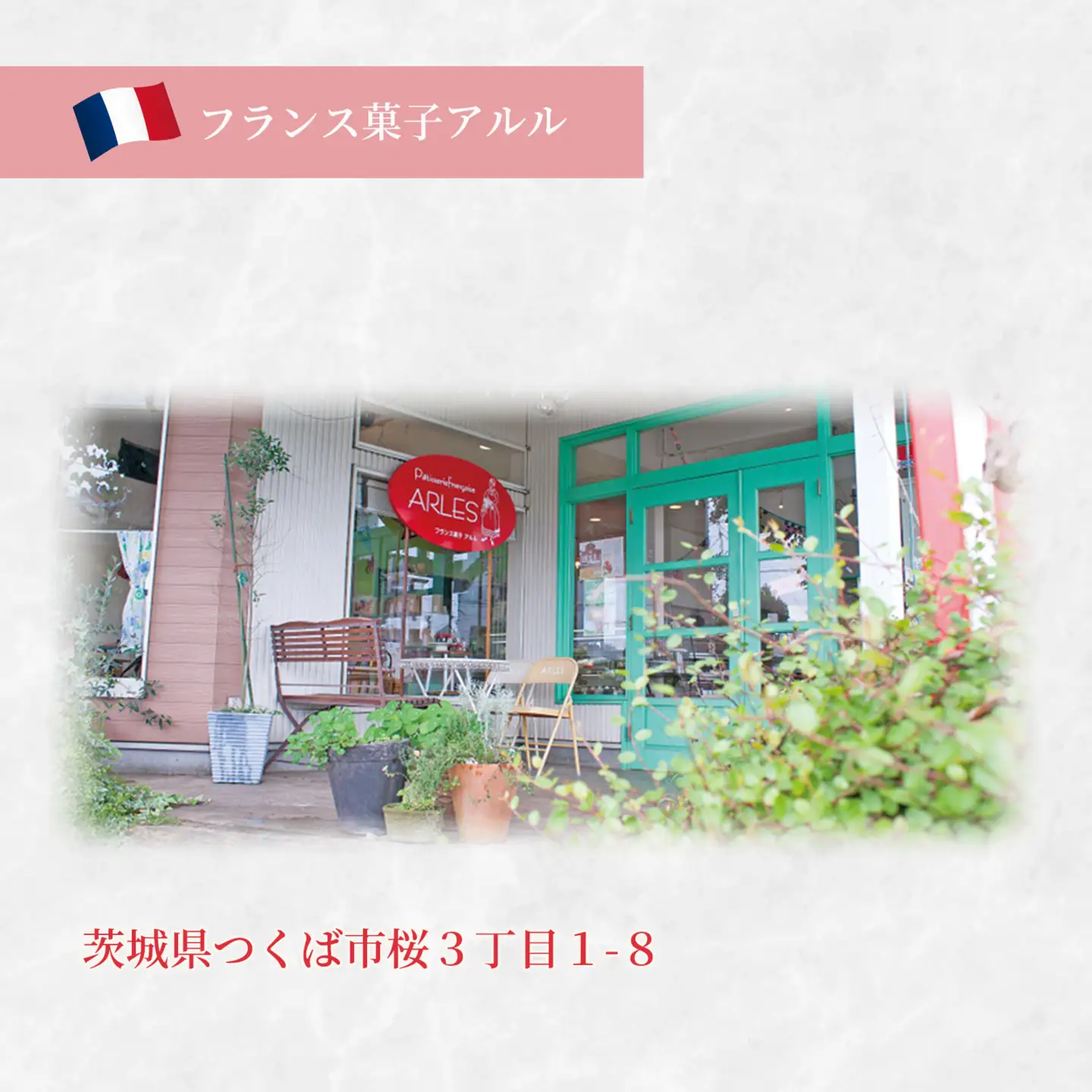 クーベルチュール 生チョコレート 赤レンガ 18個入り チョコ
