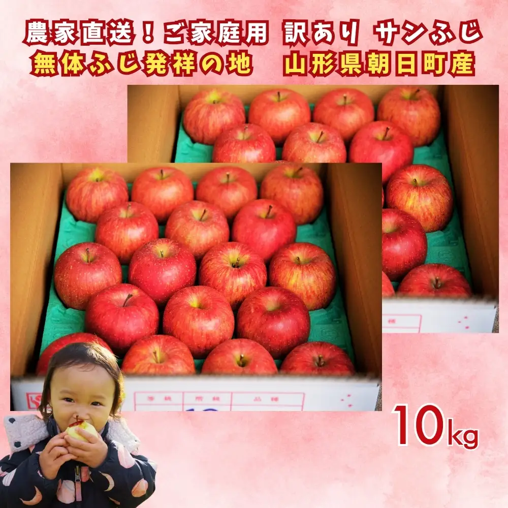 りんご 【 ご家庭用 訳あり 】 サンふじ 10kg 【2026年11月下旬～発送】 山形県 朝日町産 農家直送 山形県産 特産 果物 フルーツ リンゴ 林檎 秋 冬 先行予約 送料無料