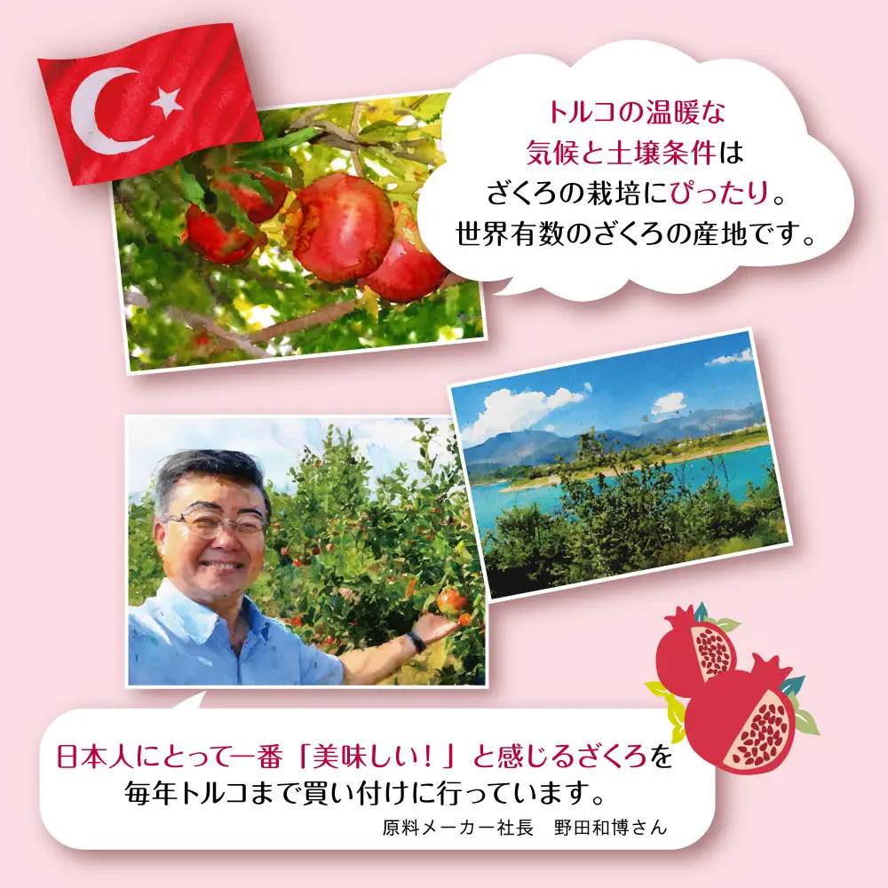 トルコ産ざくろの濃縮エキス150ml×3本　美容 健康 エラグ酸 ざくろ　ザクロ　4倍希釈　