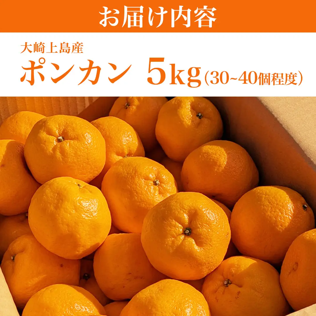 大崎上島産 ポンカン 5kg ( 30～40個程度 ) ぽんかん 柑橘 みかん フルーツ 柑橘 蜜柑 お取り寄せ
