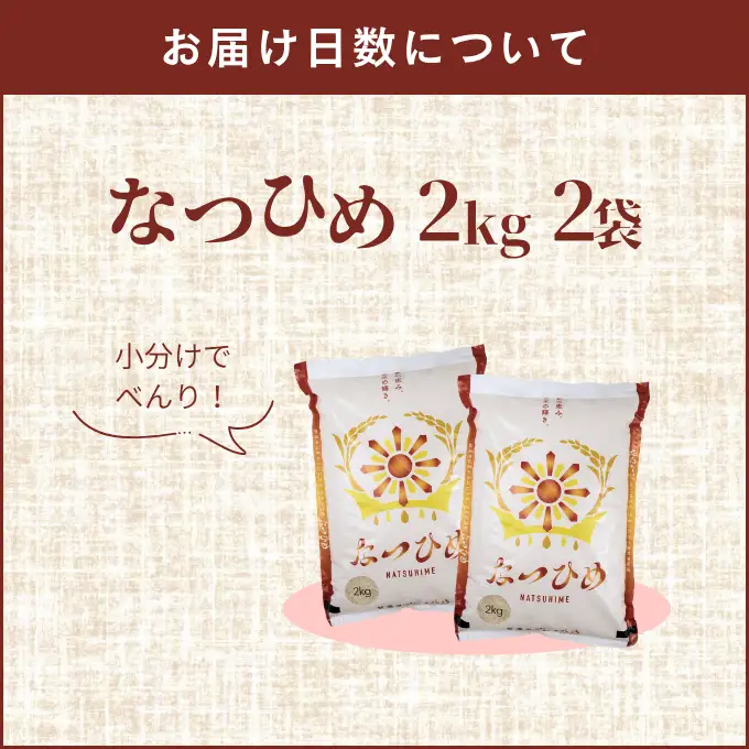 最短3日発送 新米 なつひめ 4kg 新米 新品種 令和8年産 米 白米 こめ 大粒 ごはん おにぎり お弁当 農家直送 産地直送 ふるさと納税 川瀬農園 新潟 新潟県 新発田市 kwsNH001_F