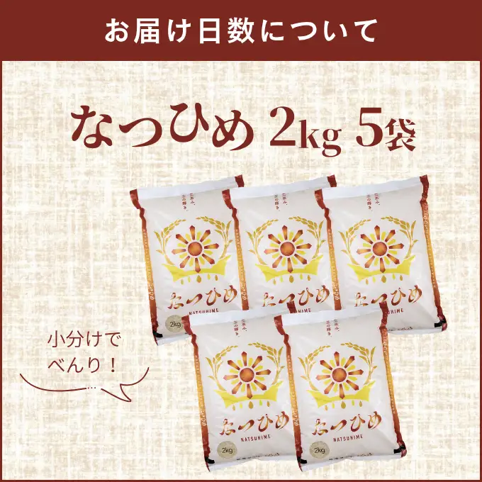 最短3日発送 新米 なつひめ 10kg 新米 新品種 令和8年産 米 白米 こめ 大粒 ごはん おにぎり お弁当 農家直送 産地直送 ふるさと納税 川瀬農園 新潟 新潟県 新発田市 kwsNH002_01_F