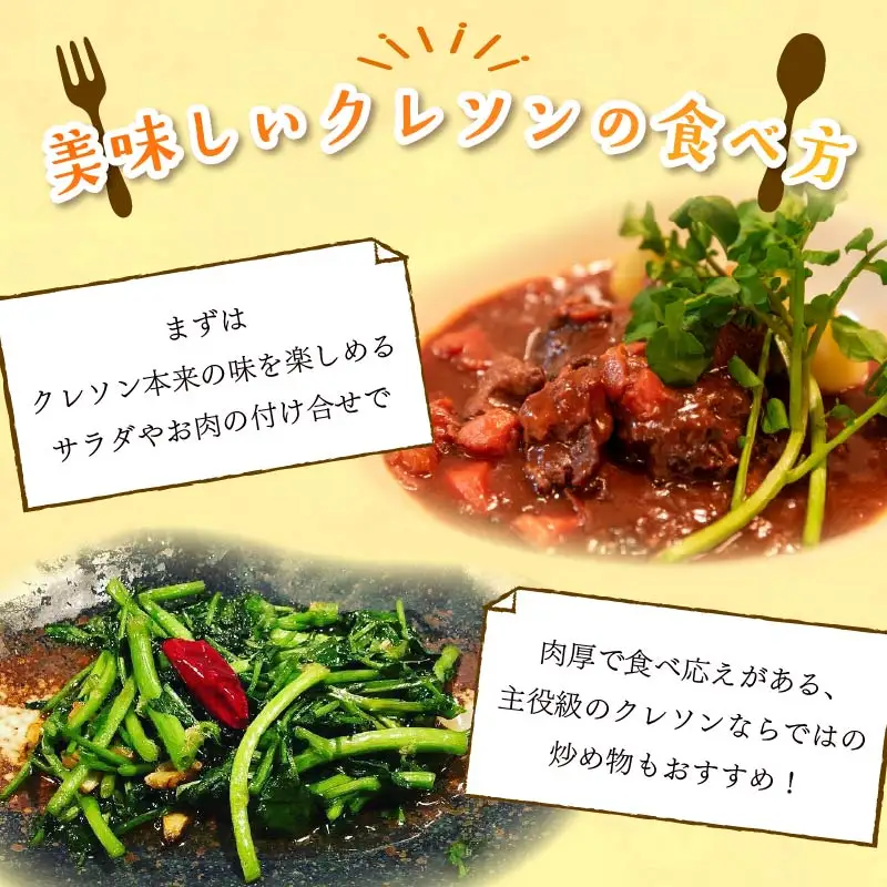 クレソン 下田クレソン 1kg 野菜 国産 葉 ハーブ サラダ 葉物野菜 静岡県 伊豆 下田市